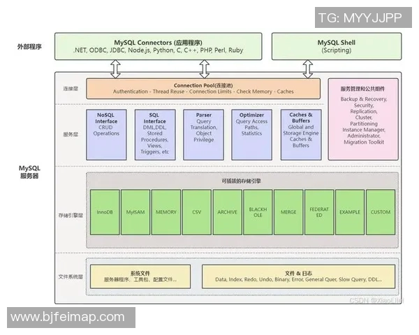 深入探讨Instagram节奏表现的数据分析与优化策略