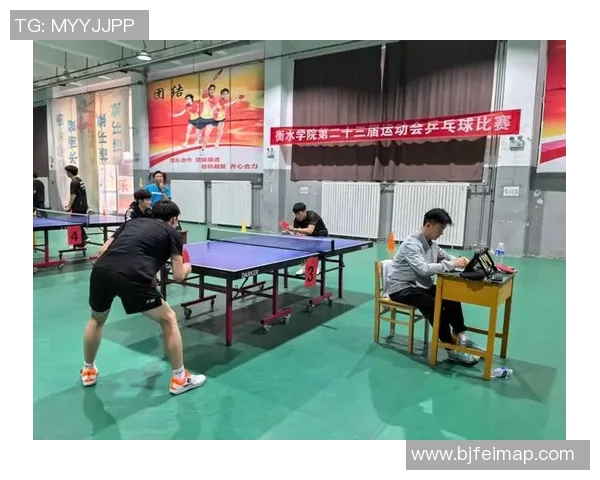 乒乓球专题：深入探讨杭州乒乓球队的团队协作与默契配合之道