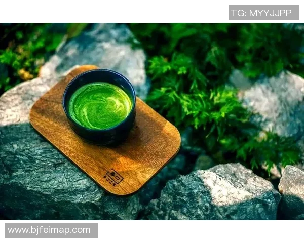 茶行为中心探索与研究：创新茶文化与社会行为互动的深度分析